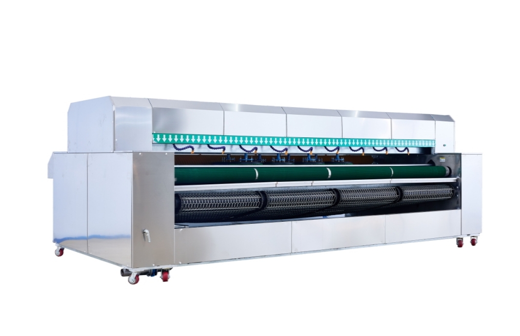 Profesyonel Halı Toz Alma ve Yıkama Ekipmanı (8 Fırçalı Disk)